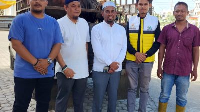 Sambut Maulid Nabi Muhammad, H Mukhlis Sumbang Satu Ekor Sapi