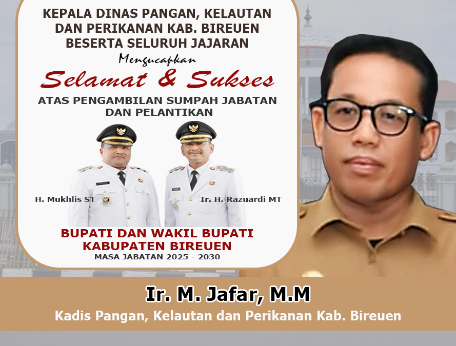 Iklan Pelantikan Bupati Bireuen